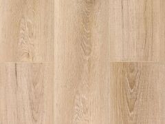 Дуб Фрейзер