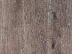 Дуб Хельсинки