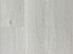 Дуб Серебристый