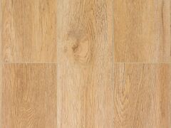 Дуб Монтара