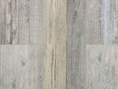 Дуб Марсель