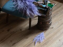 Дуб Марбург