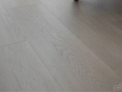 Дуб Равенна