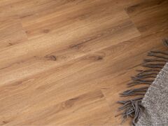 Дуб Сан-Ремо