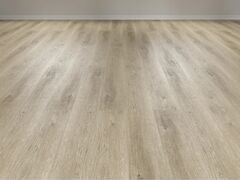 Дуб Кассель